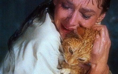 A Good Cry: Lessons from a Poet, an Actor, and a Cat