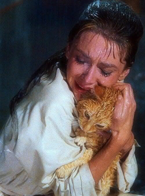 A Good Cry: Lessons from a Poet, an Actor, and a Cat