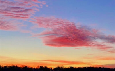 Dawn: The 24-Hour Reset